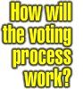 How will the voting process work?